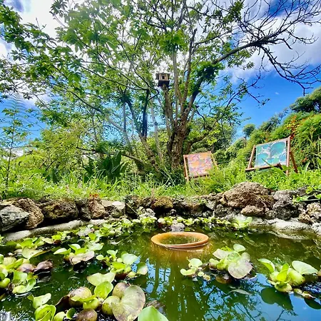 Casa Dos Castanheiros Angra Do Heroismo