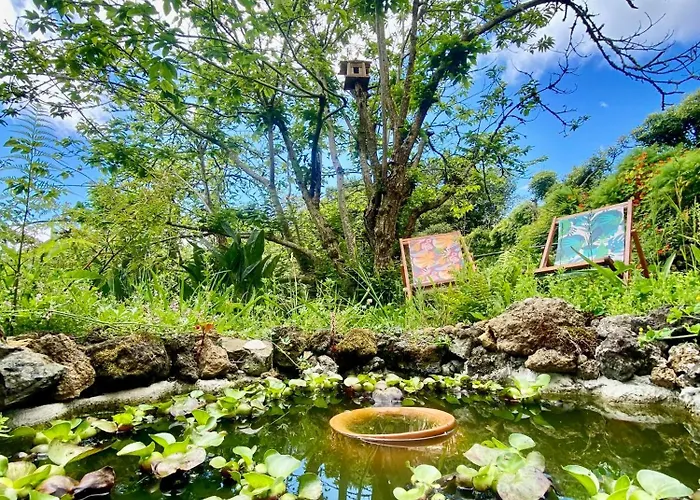 Casa Dos Castanheiros Angra Do Heroismo