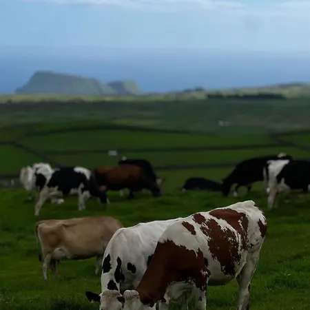 Affittacamere Casa Dos Castanheiros Angra Do Heroismo