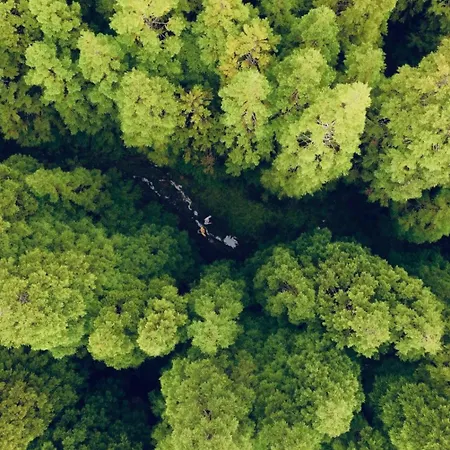 Casa Dos Castanheiros Angra Do Heroismo