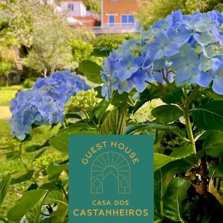 ゲストハウス Casa Dos Castanheiros Angra Do Heroismo Terra Chã