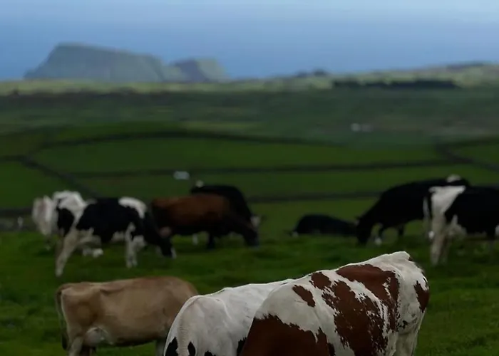 Guest house Casa Dos Castanheiros Angra Do Heroismo