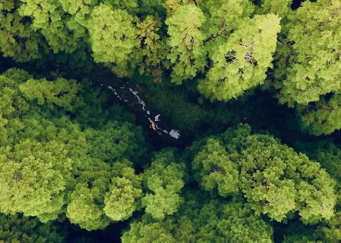 Casa Dos Castanheiros Angra Do Heroismo